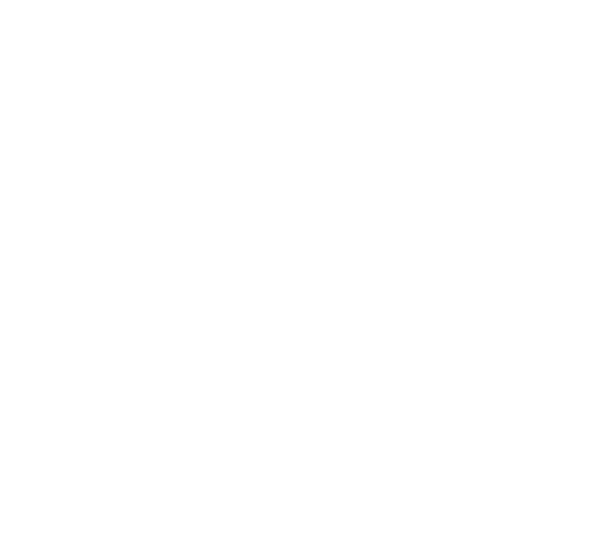 Advortex